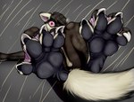 brown_body claws feet foot_focus membrane_(anatomy) otter_tail paws soles spread_toes toes webbed_feet muffinvinvin mammal mustelid otter absurd_res hi_res