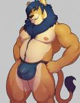 anthro blue_hair body_hair bulge clothing fur hair happy_trail jockstrap male musclegut muscular muscular_anthro muscular_male nipples overweight overweight_anthro overweight_male solo thick_thighs underwear yellow_body yellow_fur knuxlight tendaji felid lion mammal pantherine hi_res