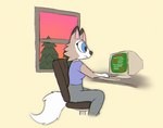 anthro biped blue_eyes bottomwear canid chair clothed clothing computer creature_sp crt desk electronics female furniture generation_7_pokemon hi_res lycanroc mammal midday_lycanroc nintendo pants plant pokemon pokemon_(species) shirt side_view snaggle_tooth solo sunset table topwear tree typing window yoga_pants