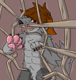 abs angry anthro brown_hair fur grey_body grey_fur hair looking_at_viewer male muscular muscular_anthro muscular_male pawpads pink_pawpads pink_tongue red_eyes solo teeth tongue 2001maxx conditional_dnp maxx_(2001maxx) canid canine canis domestic_dog husky mammal nordic_sled_dog spitz werecanid werecanine werecreature weredog werehusky hi_res