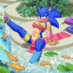 anthro black_nose blue_body bottomwear bra breasts cleavage clothed clothing countershade_arms countershade_torso countershading crossgender curvy_figure female glistening glistening_body glistening_eyelids glistening_nose glistening_skin green_eyes head_spines jewelry leg_in_water lily_pad loincloth mtf_crossgender navel one_leg_up pawpads pillow pink_bra pink_clothing pink_underwear plant pointy_ears quills_(anatomy) raised_leg ring_(jewelry) sitting solo spread_legs spreading swimming_pool underwear veil arrowdarkened sega sonic_the_hedgehog_(series) sonic_the_hedgehog amur_carp aquatic carp cyprinid cypriniform eulipotyphlan fish hedgehog koi mammal typical_carp 1:1 absurd_res hi_res
