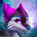 athletic athletic_female black_body black_fur blue_markings blue_nose bright female fluffy fur grey_body grey_fur markings multicolored_body multicolored_fur purple_body purple_eyes purple_fur solo white_body white_fur snejek yozora canid canine canis mammal wolf 1:1 hi_res portrait