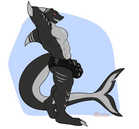 3_toes anthro barazoku black_body bulge bulge_grab bulge_grope claws clothing dorsal_fin dorsal_fin_scar feet fin fin_scar grey_body grey_lines latex latex_clothing latex_underwear male multicolored_body muscular muscular_male pectoral_fin pose scar tail tail_fin tail_fin_scar tail_scar toes underwear sadkoinu negashark aquatic fish shark 2026 hi_res