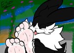 4_toes ambiguous_gender anthro auto_foot_lick barefoot bedroom_eyes black_body black_fur bodily_fluids cheek_tuft claws countershade_feet countershading detailed_background dewlap_(anatomy) facial_tuft feet finger_claws fingers foot_fetish foot_focus foot_lick foot_play fur hindpaw humanoid_feet licking long_ears multicolored_body multicolored_fur narrowed_eyes neck_tuft open_mouth outside paws plantigrade presenting seductive self_lick soles solo suggestive sweat sweaty_feet toe_claws toes tongue tongue_out touching_own_foot tuft two_tone_body two_tone_fur white_body white_fur electricsnowfox barnaby_(esf) lagomorph leporid mammal rabbit absurd_res hi_res