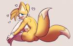 2019 anthro blush butt canid canine clothing digital_media_(artwork) fur genitals girly hair hi_res humanoid_genitalia humanoid_penis ikkykrrk legwear looking_back male mammal miles_prower mostly_nude multi_tail penis sega simple_background smile solo sonic_the_hedgehog_(series) tail thigh_highs