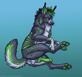 animal_genitalia animal_penis balls black_hair canine_genitalia canine_penis claws erection feral fur genitals gradient_background green_claws green_eyes green_hair green_markings green_pawpads green_penis green_spots green_stripes grey_body grey_fur hair knot knotted_penis leg_markings looking_at_viewer male male_feral markings mouth_closed multicolored_hair pawpads penis simple_background socks_(marking) solo spots stripes two_tone_hair white_balls white_body white_fur heatherwolf canid canine felid feline hybrid lynx mammal