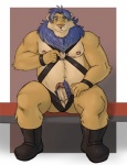 anthro balls biped blue_body blue_eyes blue_fur boots clothed clothing erection footwear fur genitals harness humanoid_genitalia humanoid_penis leather leather_daddy looking_at_viewer male musclegut muscular muscular_anthro muscular_male penis pubes shoes sitting slightly_chubby solo topless adios tendaji felid lion mammal pantherine digital_media_(artwork)