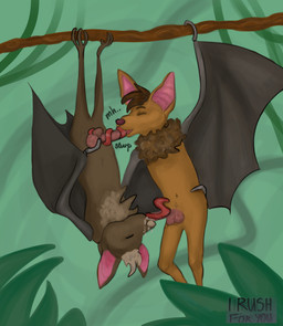 69_position ball_lick balls bodily_fluids brown_body brown_fur butt chest_fur chest_tuft claws cum cum_drip cum_on_face dripping duo fellatio feral feral_on_feral fluffy fluffy_chest fur genital_fluids genitals hanging_by_arms hanging_by_feet hanging_from_branch hanging_upside_down hug hugging_another hugging_butt licking long_tongue male male/male oral orange_body orange_fur penile penis pink_inner_ear red_tongue sex spread_wings tongue tuft upside_down wing_claws winged_arms wings irushforyou batty_koda bat mammal megabat absurd_res hi_res