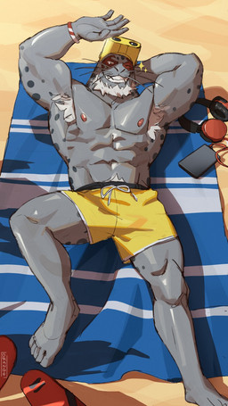 5_toes anthro armpit_hair beach beach_towel biped body_hair bottomwear cellphone clothing electronics feet footwear grey_body grey_skin hand_above_head hand_behind_head happy_trail headphones humanoid_feet humanoid_hands looking_at_viewer lying male muscular muscular_anthro muscular_male nipples one_eye_closed phone plantigrade raised_arms sandals shoes shorts smartphone smile solo toes towel wink winking_at_viewer 0rang3 my_hero_academia selkie_(my_hero_academia) aquatic mammal pinniped seal 9:16 colored hi_res signature