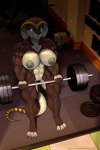 2:3 abs absurd_res anthro areola barbell breasts brown_body brown_scales claws cobra english_text exercise female genitals green_eyes hi_res muscular muscular_anthro muscular_female nipples purple_claws pussy reptile scales scalie shandi snake spotty_the_cheetah tail text weightlifting weights workout