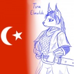 anthro armor bracers braided_hair chainmail clothing female fur hair inner_ear_fluff islamic medieval melee_weapon religion solo star_and_crescent tuft weapon blackbetty domestic_cat felid feline felis mammal 1:1