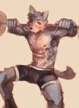 anthro bodily_fluids boxer_briefs clothed clothing exercise male muscular muscular_anthro muscular_male simple_background solo sweat topless underwear underwear_only weightlifting workout hemuchang beastars legoshi_(beastars) canid canine canis mammal wolf hi_res
