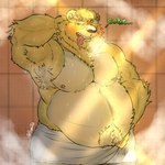 anthro armpit_fetish armpit_hair bathing belly blush bodily_fluids body_hair female male male/female male/male musk musk_clouds shower showering solo sweat sweaty_armpit tired tired_eyes bumka bear mammal hi_res