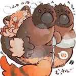 anthro anus asian_clothing balls blush brown_body brown_fur butt clothing east_asian_clothing fundoshi fur genitals heart_symbol humanoid_hands japanese_clothing kemono lying male musk overweight overweight_male solo underwear white_clothing white_fundoshi white_underwear buta5kawa ailurid mammal red_panda 2021 hi_res