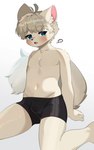 anthro bulge canid canine clothed clothing dabi_(artist) hi_res kemono kneeling male mammal simple_background solo underwear underwear_only white_background