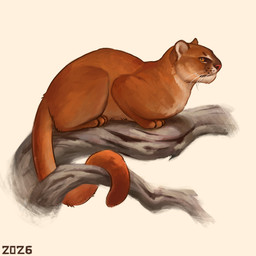 ambiguous_gender branch feral fur long_tail on_branch orange_body orange_fur pink_nose quadruped simple_background sitting solo tail whisker_spots white_background white_chest whuskers yellow_eyes alexpahomov felid feline jaguarundi mammal 1:1 2026 digital_media_(artwork) digital_painting_(artwork) painting_(artwork)