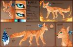 ambiguous_gender black_nose blue_eyes feral fur orange_body orange_fur paws solo standing maplespyder maple_(maplespyder) domestic_cat felid feline felis mammal 2015 digital_media_(artwork) model_sheet