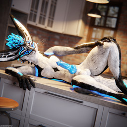 animal_genitalia animal_penis anthro anthro_on_anthro balls biped black_body black_fur blue_body blue_fur blue_penis canine_genitalia canine_penis claws clothing depth_of_field erection fur genitals grey_body grey_fur hair hand_on_knee hand_on_leg inside kitchen kitchen_counter knot lying male multicolored_body nude on_side paws penis reflection slim slim_anthro slim_male slim_sub smile solo submissive submissive_male tail teasing teasing_viewer white_body white_fur dragonplayer dragonplayer_(character) canid canine canis fox hybrid jex mammal rexouium 1:1 3d_(artwork) absurd_res blender_(artwork) blender_cycles_(artwork) digital_media_(artwork) hi_res