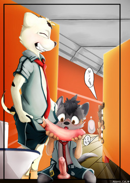anthro bathroom big_penis clothed clothing duo genitals male male/male open_clothing open_shirt open_topwear penis penis_awe penis_size_difference public_restroom shirt small_but_hung topwear young young_but_hung atomic_cat_nsfw jack_(jackandoslo) australian_cattle_dog canid canine canis cattledog domestic_cat domestic_dog felid feline felis herding_dog mammal pastoral_dog hi_res