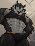 abs anatake anthro black_sclera bulge canid canine canis clothing detailed_bulge genital_outline hi_res low-angle_view male mammal muscular muscular_anthro muscular_male nipples pec_pov_meme pecs penis_outline shirt solo speedo swimwear tank_top topwear wolf