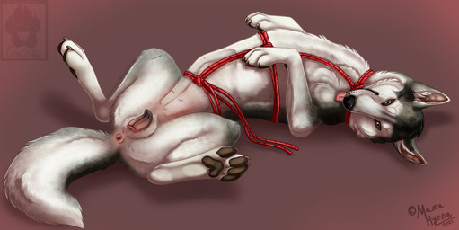 anatomically_correct anatomically_correct_genitalia anatomically_correct_vulva animal_genitalia animal_vulva anus bdsm bedroom_eyes black_body black_fur black_nose black_pawpads blep body_harness bondage bound breath brown_eyes butt canine_genitalia canine_vulva female feral fur genitals harness in_heat looking_at_viewer lying multi_nipple multicolored_body multicolored_fur narrowed_eyes nipples on_back open_mouth panting pawpads paws presenting presenting_anus presenting_hindquarters presenting_vulva quadruped restraints rope rope_bondage rope_harness seductive simple_background solo spreading submissive submissive_female submissive_feral tail teats tongue tongue_out vulva white_body white_fur mama-hyena canid canine canis domestic_dog husky mammal nordic_sled_dog spitz 2021 dated digital_drawing_(artwork) digital_media_(artwork) signature watermark