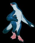 ambiguous_gender anthro beak biped blue_body blue_feathers claws countershade_arms countershade_face countershade_tail countershade_torso countershading feathers simple_background solo tail transparent_background avian-king avian bird penguin 2021 absurd_res alpha_channel hi_res