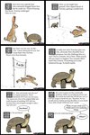 ambiguous_gender dialogue duo feral fur scales simple_background text white_background pet_foolery lagomorph leporid mammal rabbit reptile scalie tortoise turtle 2:3 absurd_res english_text hi_res signature