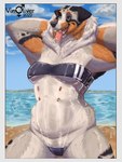 anthro beach breasts clothing female female_anthro floppy_ears hands_behind_head heterochromia multi_nipple neck_tuft nipples one-piece_swimsuit outside pose sand seaside smile solo swimwear tongue tongue_out translucent translucent_clothing translucent_swimwear tuft water vin_oliver gris_swimsuit meme_clothing australian_shepherd canid canine canis domestic_dog herding_dog mammal pastoral_dog sheepdog 3:4 hi_res meme pinup