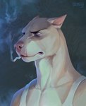 anthro blue_eyes cigarette clothing ears_back male pink_nose pivoted_ears shirt simple_background smoke solo tank_top topwear shamerli kyle_(jagdeer) canid canine canis domestic_dog mammal pit_bull hi_res