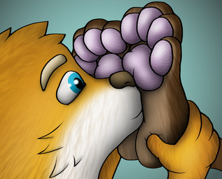 anthro blonde_hair blue_eyes brown_body brown_hair countershading duo feet foot_fetish foot_focus foot_grab foot_on_face foot_sniffing hair holding_leg male male/male nuzzling pawpads paws pink_pawpads sniffing toes wide_eyed yellow_body kiwifizz canid canine fox mammal hi_res shaded