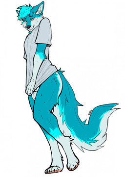 animal_genitalia anthro balls barely_visible_genitalia barely_visible_sheath bedroom_eyes blue_body blue_fur blush bodily_fluids clothing clothing_pull embarrassed femboy flustered fully_sheathed fur genitals lidded_eyes looking_at_viewer male male_anthro narrowed_eyes seductive sheath shirt shirt_pull shy simple_background solo standing sweat sweatdrop topwear topwear_pull white_background freakdan1el canid canine canis mammal wolf hi_res
