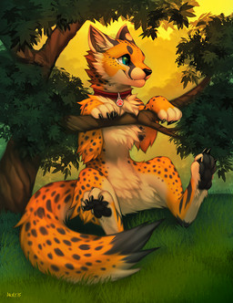 4_fingers 4_toes black_body black_claws black_fur black_lips black_nose black_pawpads black_spots chest_tuft claws cloud collar detailed_background digitigrade ears_back evening fangs feet feral fingers fluffy fluffy_tail fur grass happy hindpaw inner_ear_fluff leaf lips long_mouth male markings nature orange_body orange_fur outside pawpads paws pivoted_ears plant pupils quadruped shadow sky slit_pupils smile snout solo spots spotted_body spotted_fur spread_legs spreading sunset tail teal_eyes teeth toe_claws toes tree tuft white_body white_fur falvie azerawr canid canine canis cheetah cheewuff felid feline hybrid mammal wolf 2015 digital_media_(artwork)