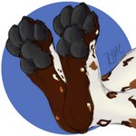 ambiguous_gender anthro black_pawpads claws feet foot_focus foot_tuft markings pawpads paws simple_background solo toe_claws tuft ryme african_wild_dog canid canine mammal 1:1 absurd_res digital_media_(artwork) hi_res shaded signature simple_shading