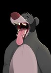 absurd_res alpha_channel anthro baloo bear disembodied_hand disney duo fur ghost_hands grey_body grey_fur half-length_portrait hi_res looking_up magzol male mammal mouth_play mouth_shot open_mouth portrait sharp_teeth sloth_bear solo_focus teeth the_jungle_book tongue tongue_out ursine uvula