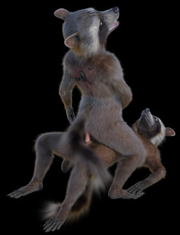 anthro clone duo fur genitals male male/male nude penis selfcest square_crossover rasterraccoon disney guardians_of_the_galaxy marvel rocket_raccoon mammal procyonid raccoon 3d_(artwork) digital_media_(artwork) hi_res