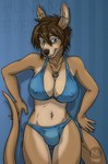 against_surface against_wall anthro big_breasts bikini bikini_bottom bikini_top biped black_nose blue_bikini blue_bikini_bottom blue_bikini_top blue_clothing blue_eyes blue_swimwear breasts brown_hair bulge claws cleavage clothed clothing ear_piercing fingernails gynomorph gynomorph_anthro hair huge_breasts industrial_piercing intersex intersex_anthro jewelry logo nails navel necklace nipple_outline paws piercing sitting solo swimwear tail text toe_claws two-piece_swimsuit naty naty_(character) kangaroo macropod mammal marsupial 2018 english_text watermark