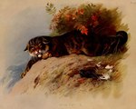 ambiguous_gender claws ears_down feral leaf looking_at_viewer loose_feather no_sclera nude open_mouth outside pivoted_ears solo text toe_claws whiskers archibald_thorburn public_domain european_wildcat felid feline felis mammal wildcat 1918 20th_century 5:4 ancient_art biological_illustration english_text hi_res signature technical_illustration traditional_media_(artwork) zoological_illustration