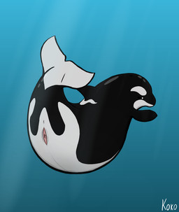 animal_genitalia animal_vulva anus ass_up butt cetacean_genitalia cetacean_vulva female feral genital_slit genitals looking_at_viewer multicolored_body presenting presenting_hindquarters presenting_vulva raised_tail sea solo spread_slit tail vulva water kokosik aquatic cetacean dolphin mammal oceanic_dolphin orca toothed_whale