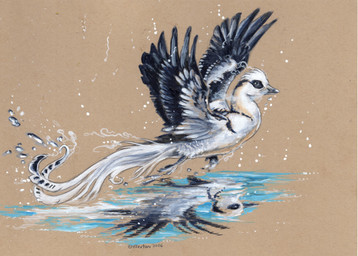 ambiguous_gender black_body black_eyes black_feathers claws feathered_wings feathers feral flying reflection simple_background solo spread_wings tan_background water white_body white_feathers wings heather_bruton european_mythology greek_mythology mythology anatid anseriform avian bird duck mythological_avian mythological_bird mythological_creature mythological_firebird phoenix sea_duck smew 2026 acrylic_painting_(artwork) colored_pencil_(artwork) painting_(artwork) traditional_media_(artwork) traditional_painting_(artwork)