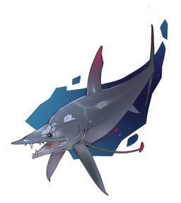 ambiguous_feral ambiguous_gender anal_fin black_eyes dorsal_fin feral fin glistening glistening_eyes grey_body grey_fin grey_scales grey_teeth open_mouth pectoral_fin pink_fin pink_tongue scales sharp_teeth snout solo swimming tail tail_fin teeth tongue two_tone_fin underwater water combos-n-doodles aquatic fish pachycormiform prehistoric_species protosphyraena 2025 absurd_res hi_res shaded
