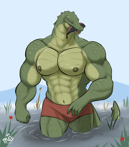 abs anthro biceps clothed clothing countershade_torso countershading fish_in_mouth green_body green_scales grey_eyes looking_at_viewer male muscular muscular_anthro muscular_arms muscular_male navel nipples non-mammal_navel non-mammal_nipples outside pantsless partially_submerged pecs red_clothing red_underwear scales sky small_head solo submerged_legs swamp topless underwear underwear_only senimentari alligator alligatorid crocodilian reptile scalie digital_media_(artwork) hi_res signature