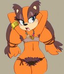 anthro armpit_hair badger big-e6 blue_eyes blush body_hair clothed clothing female flat_chested fur hairy hands_behind_head hi_res hyper_pubes jewelry mammal midriff mustelid musteline navel necklace open_mouth orange_body orange_fur pubes pubes_exposed sega simple_background skimpy solo sonic_boom sonic_the_hedgehog_(series) sticks_the_jungle_badger third-party_edit