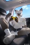 anthro blue_eyes bottomwear claws clothing dirty dirty_clothing feet fur grey_body grey_fur looking_at_viewer male scar shorts solo topwear white_body white_fur guaishoudm1 weibo domestic_cat felid feline felis mammal 2024 absurd_res hi_res