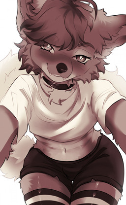 anthro black_nose blush bottomwear cheek_tuft chest_tuft choker clothing crop_top eyelashes facial_tuft fangs femboy hair high-angle_view hotpants jewelry legwear looking_at_viewer male minishorts navel necklace selfie shirt short_hair shorts simple_background sitting smile smiling_at_viewer solo stockings teeth topwear tuft white_background ha-ha_(artist) canid canine canis domestic_dog mammal 2025 absurd_res digital_drawing_(artwork) digital_media_(artwork) hi_res