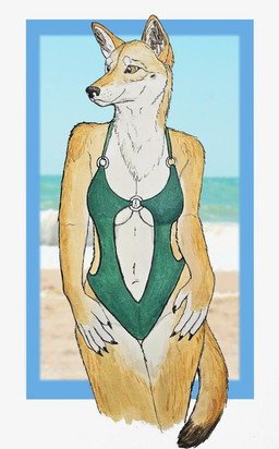5_fingers anthro beach breasts chest_tuft claws clothing ears_up female finger_claws fingers fur green_clothing green_swimwear navel one-piece_swimsuit outside sea smile solo swimwear tail tuft water white_body white_breasts white_fur yellow_body yellow_eyes yellow_fur corsack canid canine canis dingo mammal