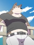 anthro biped black_nose bottomwear brown_body brown_fur clothing fur kemono male musclegut muscular outside pants shirt solo topwear ayame42612 canid canine canis domestic_dog mammal 2016