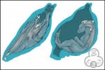 3:2 anthro blue_body blue_insides cyan_insides cyan_internal digital_media_(artwork) dragon duo esophageal_sphincter frill_(anatomy) hida horn inside_stomach internal male membrane_(anatomy) membranous_frill membranous_wings mythological_creature mythological_scalie mythology oddbird organs scalie simple_background slime solo_focus stomach tail unseen_pred vore white_background wings