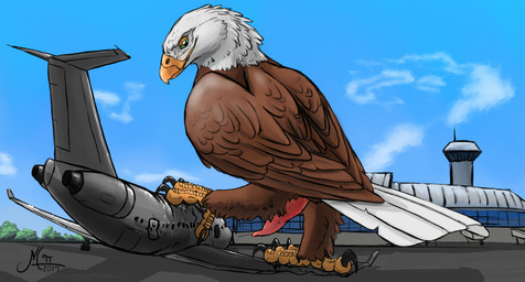 4_toes aircraft airplane airport anisodactyl blue_sky brown_body brown_feathers cloacal_penis erection feathers feet feral genitals green_eyes looking_at_viewer looking_back looking_back_at_viewer macro male outside penis pink_penis raised_leg sky solo tapering_penis toes vehicle magpi accipitrid accipitriform avian bald_eagle bird eagle sea_eagle 2017 dated digital_media_(artwork) hi_res shaded signature