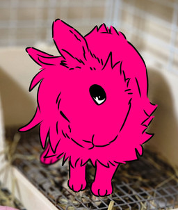 ambiguous_gender cheek_tuft chest_tuft facial_tuft feral glistening glistening_eyes head_tuft looking_at_viewer scut_tail short_tail solo tail tuft chowmalgamation corey_(jackrabbit) hare hybrid lagomorph leporid mammal rabbit draw_over hi_res photography_(artwork) sketch