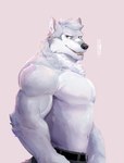 anthro biceps black_nose bottomwear brown_eyes claws clothing fur grey_body grey_fur grey_hair hair looking_at_viewer male muscular neck_tuft pants simple_background solo tuft white_body white_fur ixkouu canid canine canis mammal wolf hi_res